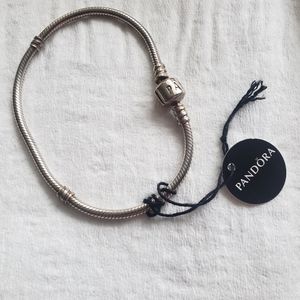 Pandora bracelet
